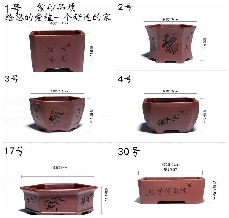 Asparagus pot large contracted violet arenaceous green plant square purple oval miniascape of hexagonal indoor Chinese wind more than meat