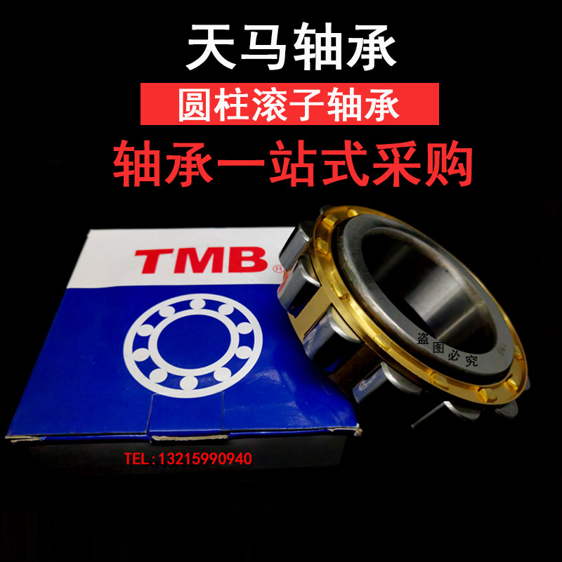 Sky Horse bearing cylindrical roller RN204 205206 high speed 207219 Precision 222228 307EM