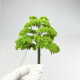 Architectural Sand Table Model Handmade Materials Micro Landscape DIY Scene Tree Artificial Finished Tree Cherry Blossom Tree Model Tree