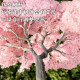 Simulated Cherry Blossom Tree Model, Wire Tree, Photography Props, Window Decoration Ornaments, Small Bonsai, Architectural Sand Table, Artificial Tree