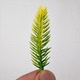 Model Materials Sand Table Green Plants Micro Landscape Landscaping Model Small Plants Flowers Landscape Green Plants Artificial Plant Model