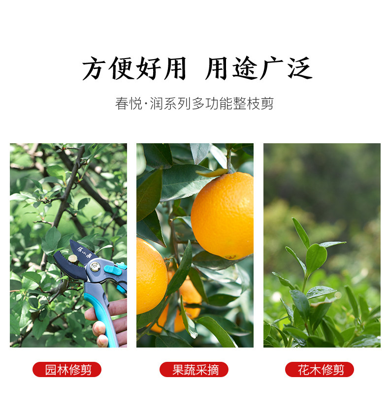 Multi -function 210_04.jpg