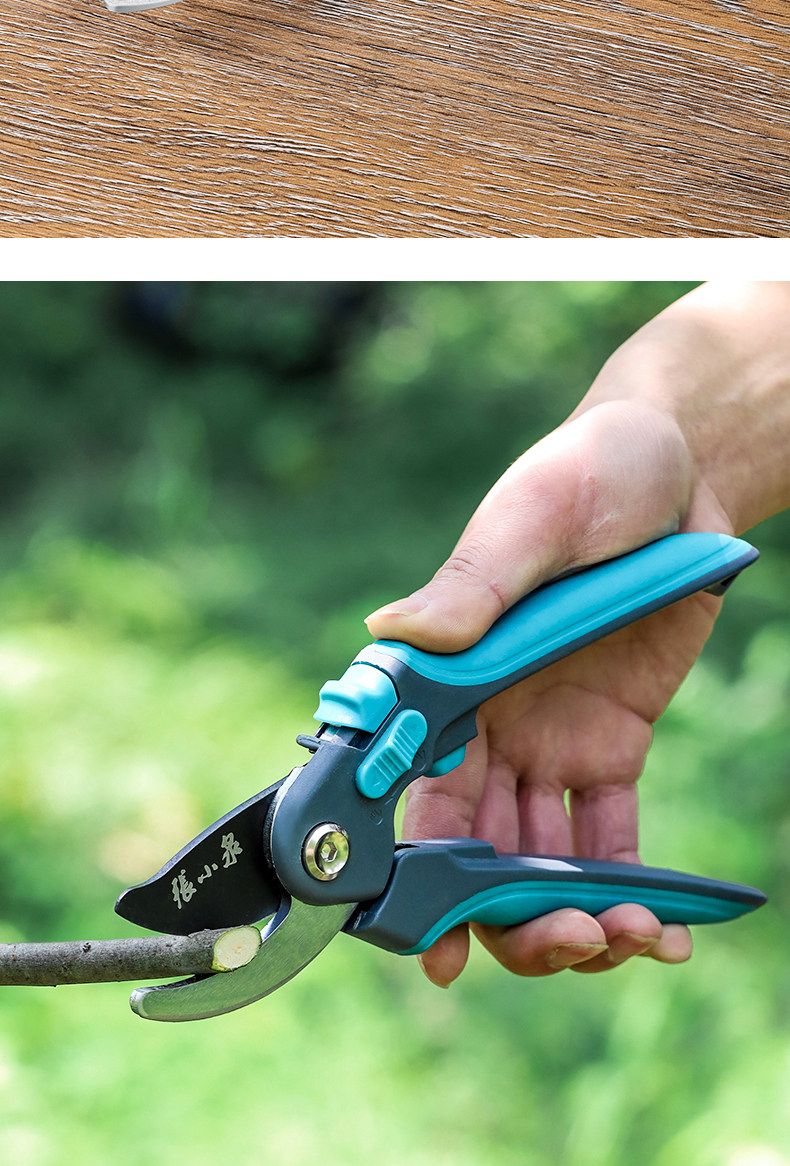 Chunyue · Запустить серию многофункциональных ветвей.