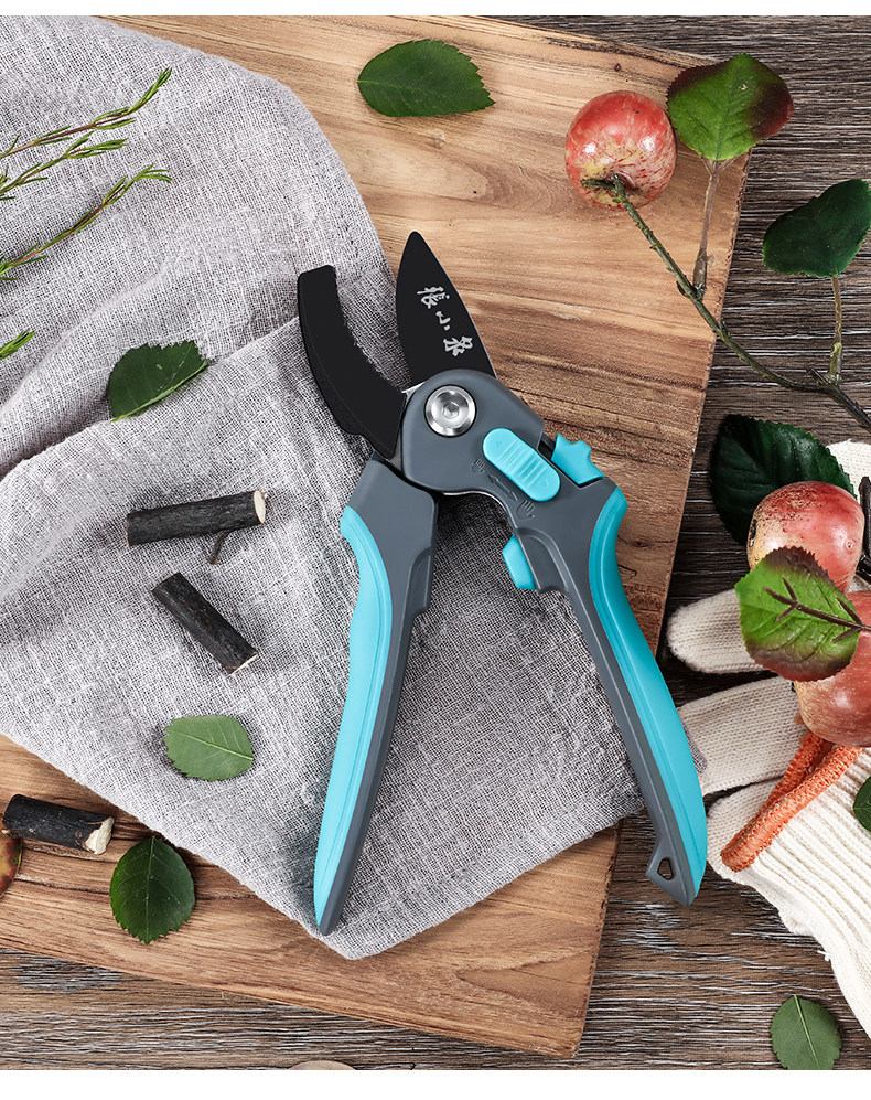 Multi -function 210_11.jpg