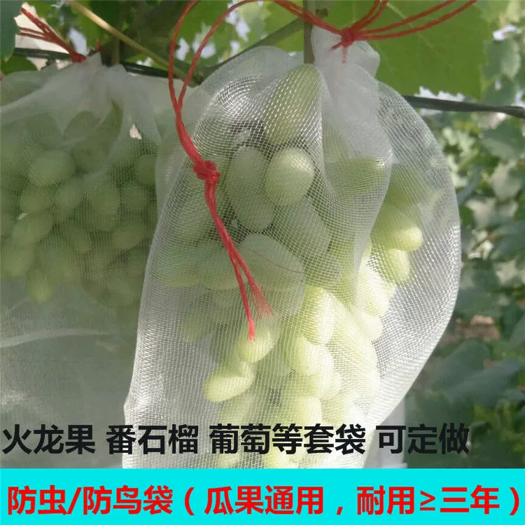 Vật tư làm vườn túi lưới nylon túi hạt giống túi pitaya túi đặc biệt túi trái cây bao nho chống ruồi giấm chống chim nước - Nguồn cung cấp vườn