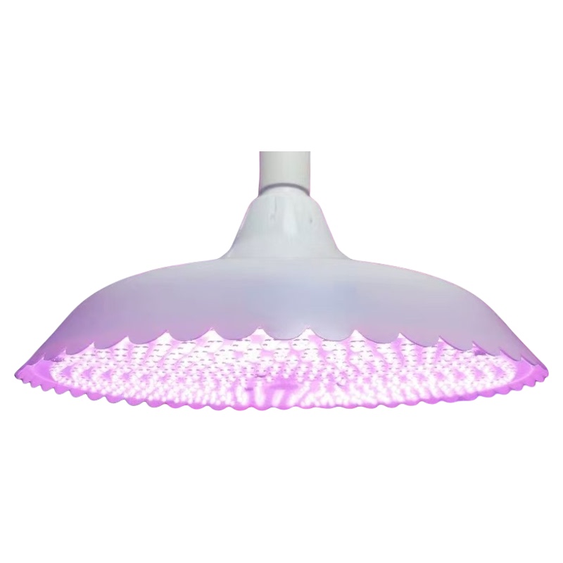 2026 New National Standard Lights for Vegetable Markets, White Light Lamps for Night Markets 2026 New National Standard Lights for Vegetable Markets, White Light Lamps for Night Markets