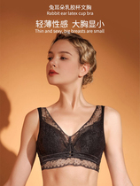 Thai Imported Latex Rabbit Ears Crystal Touch Cup Lace Bra Womens Underwear Big Chest small comfortable and breathable