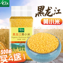 Heilongjiang Honggu millet pregnant woman month 500g yellow millet northeast new quality no impurities rice oil