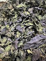 2024 new arrival wild perilla leaves dried 500g Chinese herbal medicine tea edible spices seasoning