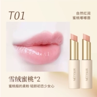 T01#*2/поддержка