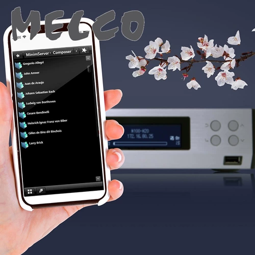 Оригинальный Japan Melco N100 DSD Digital NAS NAS Digital Transcast 2TB Hard Disk Streaming Stream