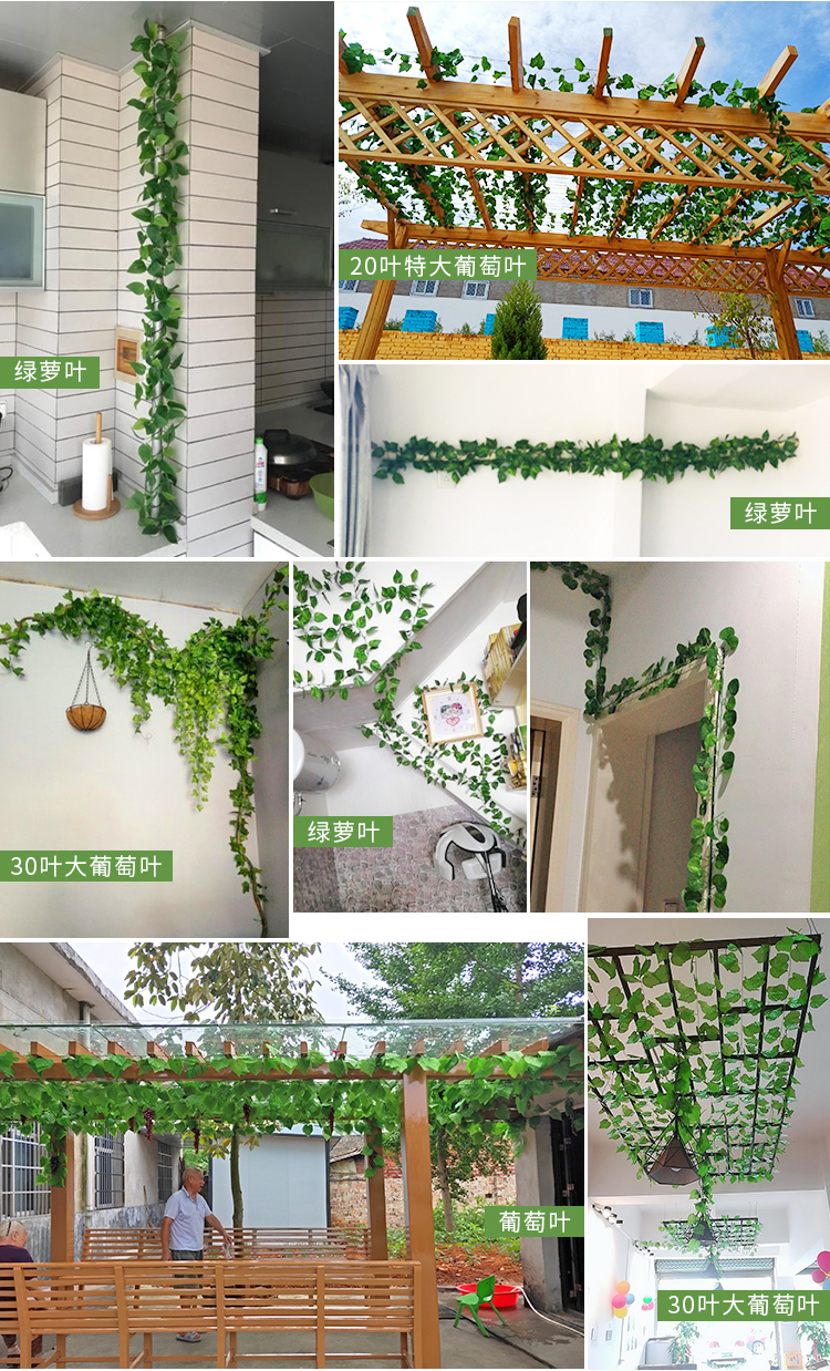 仿真常春藤绿植装饰藤条吊顶仿真绿色叶子葡萄叶下水管缠绕藤蔓详情6