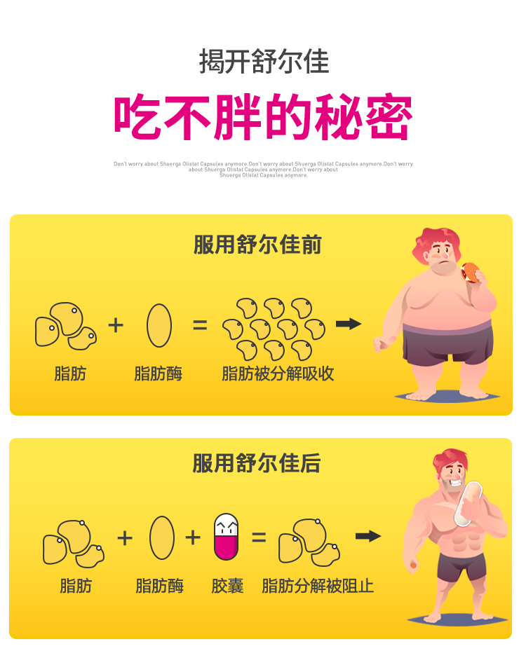 舒尔佳 奥利司他 排油减肥胶囊 42粒 图4