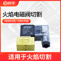 Qifeng CNC cutting machine solenoid valve explosion-proof solenoid valve 24V DC flame solenoid valve cutting machine solenoid valve