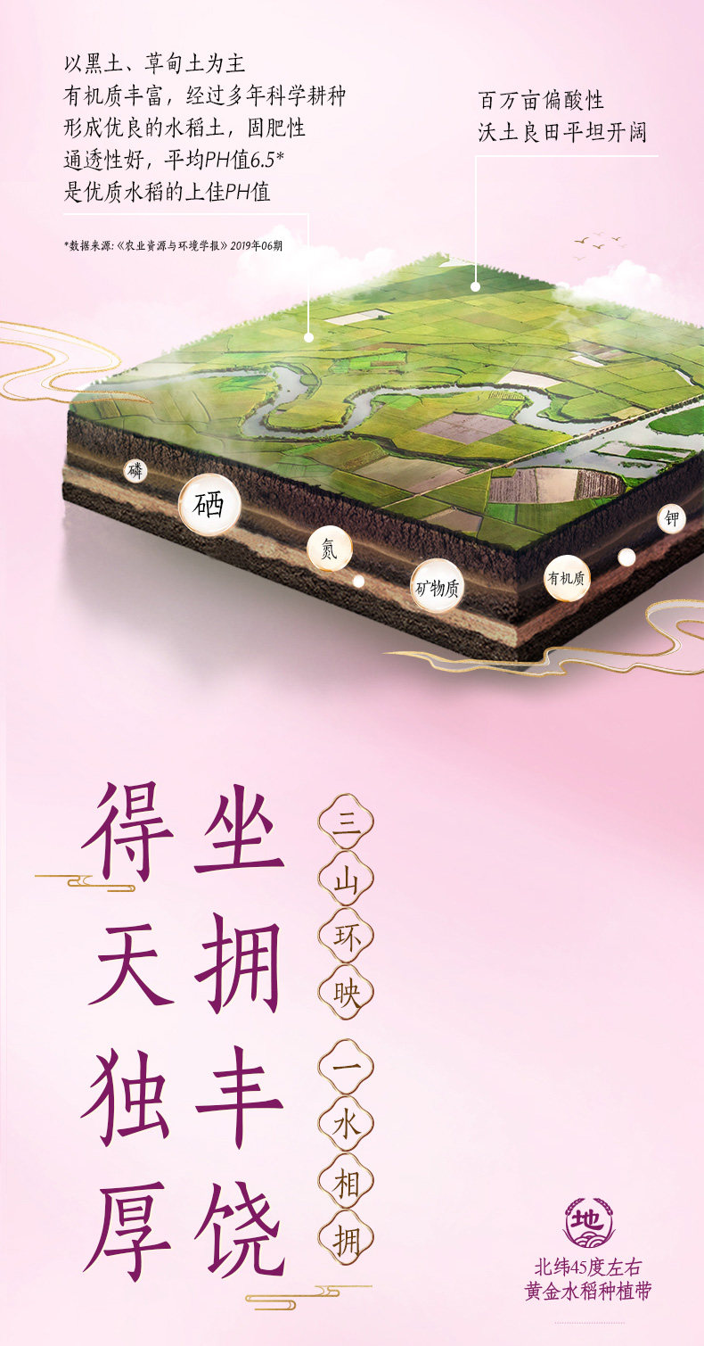 安享好物 安享C级粳米-金龙鱼乳玉皇妃方正长粒香 国标