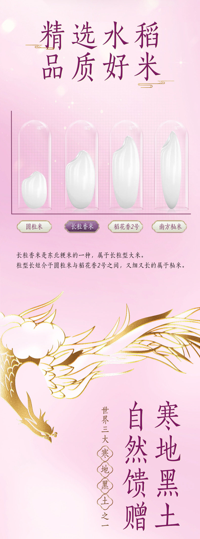 安享好物 安享C级粳米-金龙鱼乳玉皇妃方正长粒香 国标