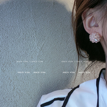 Beauty is not limited to high-grade zircon winding earrings 2021 New Tide earrings female Korean temperament Net Red