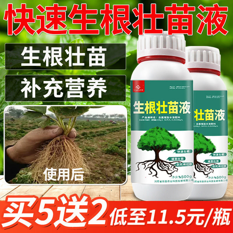 Root roots in roots hair roots roots trees trees flowers and vegetables and plants rooted in root bacterial fertilizer