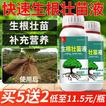 Rooting Agent Feat Roots Feuds Root Fruit Tree Trees Flowers Vegetable Cuttage Transplanting Dunk Root Fungus Fattening Foliar Fertilizer