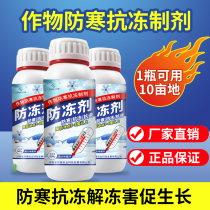 Plant antifreeze fruit tree vegetables garlic seedlings flower crops winter antifreeze Frost Frost Frost Frost Frost