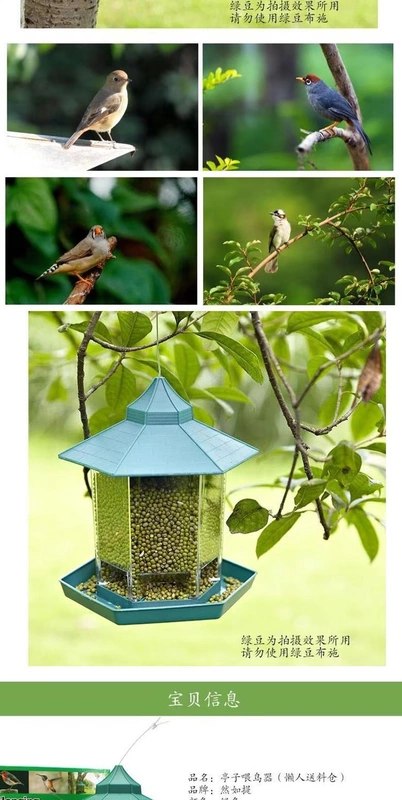 Từ bi Nguồn cung cấp đình chỉ Cho chim trung chuyển Công viên môi trường Bird House Thức ăn Máng chim Birdie tự động - Chim & Chăm sóc chim Supplies