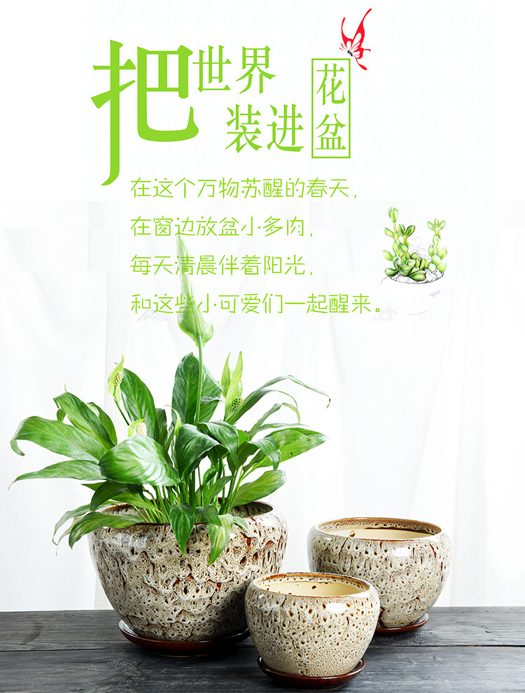 Apple flower pot ceramic clearance large money plant with large tray indoor creative bracketplant tray size flowerpot