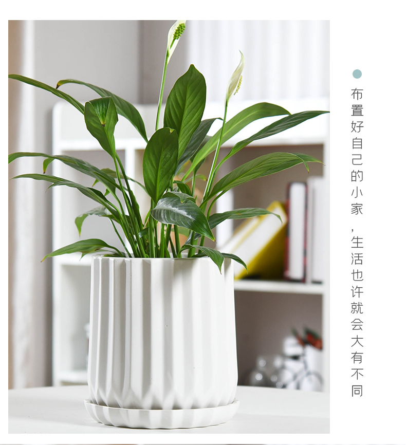 Flowerpot ceramic contracted white Nordic style take tray other orchids green plant most creative move, the flower pot