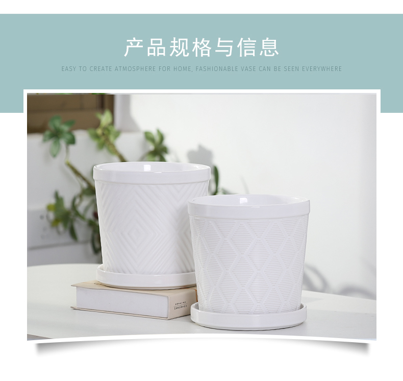 Flowerpot ceramic specials in large number contracted household money plant bracketplant heavy fleshy white butterfly orchid with tray