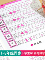 Third grade Second grade upper book Lower book Chinese practice posts Regular script Primary school students childrens textbooks synchronous teaching version Red drawing book 3rd grade hard pen calligraphy practice book Beginners practice strokes every day Stroke stroke order copybook