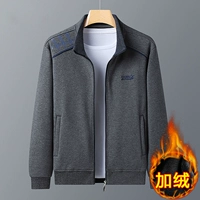 1016a-Gray-плюс бархат