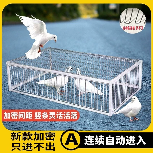 Товары от 官方国货甄选