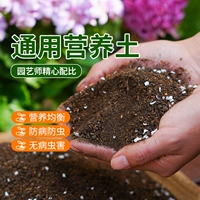 Питательный уход за почвой цветок выделенный универсальный растительный растительный растительный горшечный горшок почвы посадка почва Цветочная почва мясо Мясо почвы и жирное домашнее использование