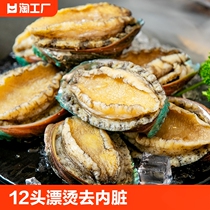 Captain Jiangs quick-frozen abalone 12 heads blanched fresh live seafood hot pot Buddha jumps over the wall ingredients specialty frozen commercial