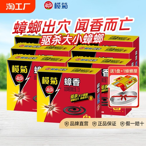榄菊 Медицина для таракана комара комаров мебель для комаров Семейство Сморал мрачный шмоф уничтожил тараканки, убийство