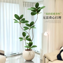 Black King Kong Artificial Living Room Green Plant Classy Light Luxury Large Floor Fake Tree Potted Indoor Decorative Ornament Plant