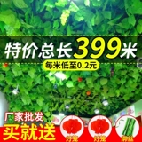 Моделирование виноградных листьев виноградных виноградных виноградных виноградных виноград