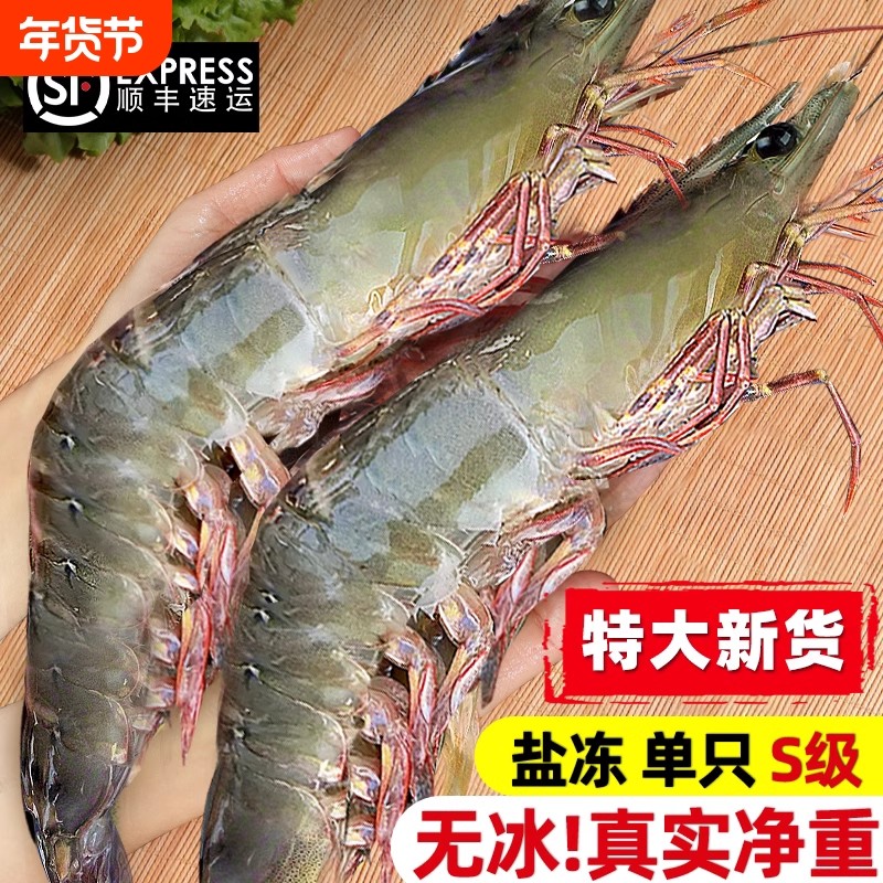 Fresh jumbo shrimp, extra large salt-frozen white shrimp, frozen