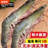Fresh jumbo shrimp, extra large salt-frozen white shrimp, frozen