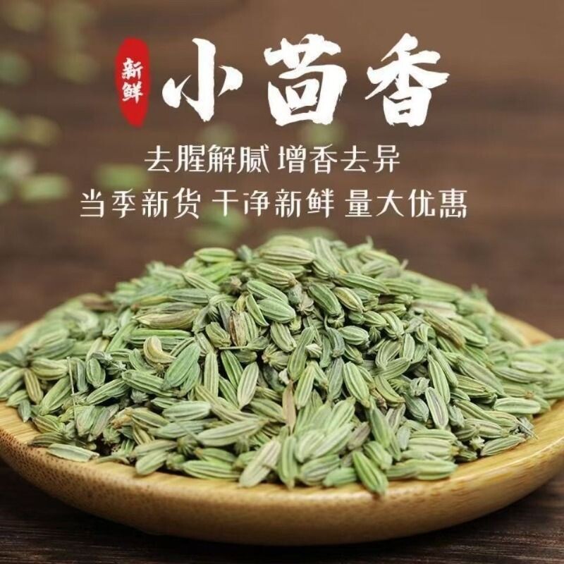 甘粛省産プレミアム本場フェンネル、漢方薬、食用スパイス、調味料、煮込み料理、家庭用新鮮フェンネル