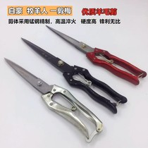 Proud wool scissors shepherd a plum large household scissors rabbit hair scissors dog hair tools haircut scissors