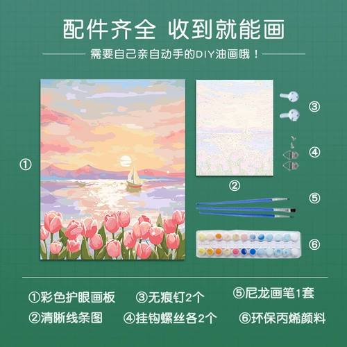 Цифровой акрил для рисования, масляная краска, «сделай сам», ручная роспись