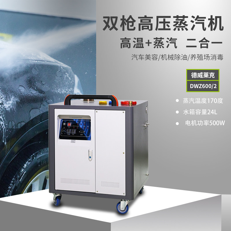 High pressure high temperature steam cleaning machine factory workshop disinfection and sterilization double gun steam car washing machine steam DWZ600 2