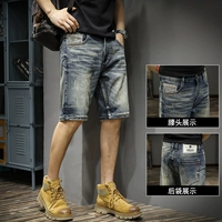 Древний синий [1008 моделей]