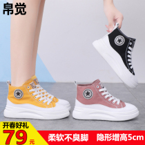 Highlighting womens shoes silk feel high candy-colored contact lenses elevator shoes casual canvas shoes Jun agricultural preferably benevolence preferred