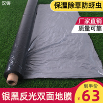 Plastic film mulch agricultural silver black film two-color reflective weeding film thickening insulation vegetable peanut planting