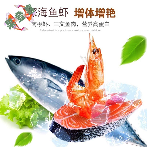 Корм -корм для рыбы кои, вид рыбы, золотая рыба рыба, рыба, пресноводная рыба зерна Универсальное холодная вода Маленькие частицы не являются грязной водой