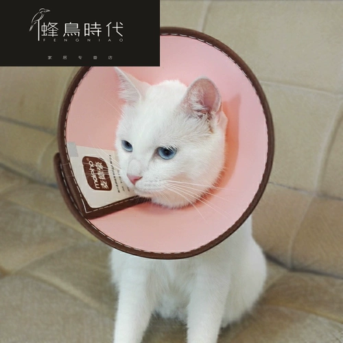 Элизабет кошка кошка, покрывающая кошку, лизающую анти -сат -домашнюю собаку Элизабет Стыд, оскорбительный ошейник Круг