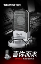 Takstar wins SM-18EL capacitive microphone K song live recording professional equipment suit