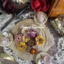 Colorful chrysanthemum bulk selection of natural dried flowers hay