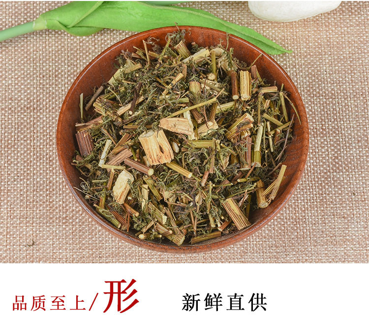 Artemisia annua_05.jpg